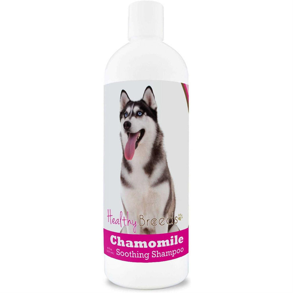 Chamomile Soothing Dog Shampoo B344973