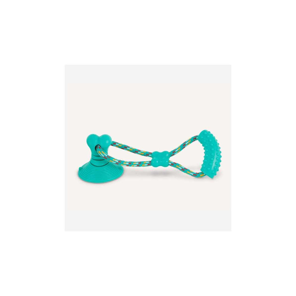 Suction Cup Tug Dog Toy X460