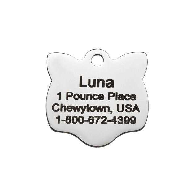 Stainless Steel Personalized Dog & Cat ID Tag A177