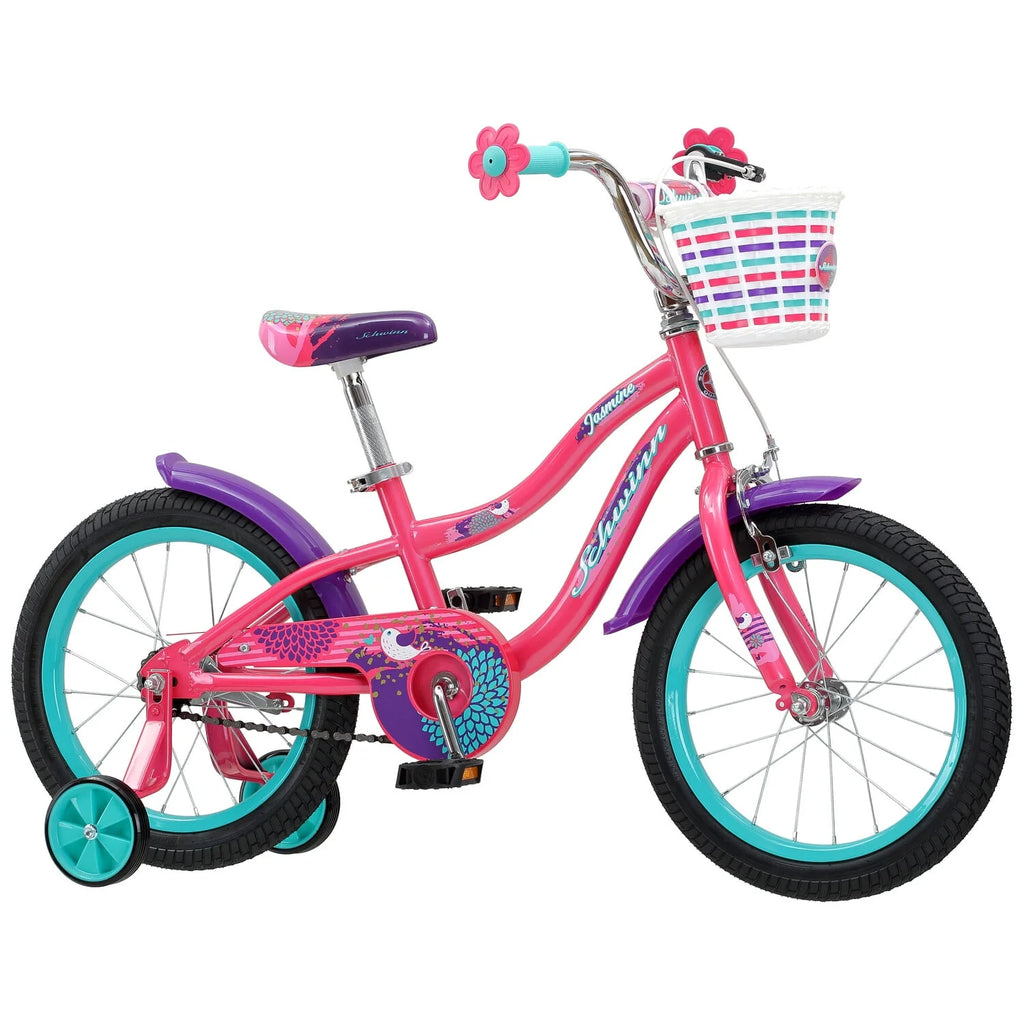 16 in Training Wheels Bike E71607