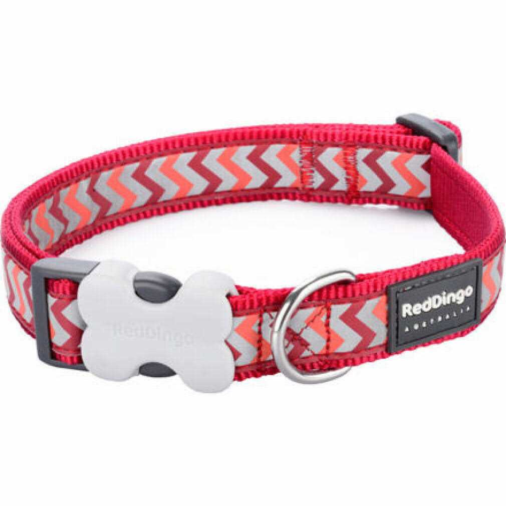 Dog Collar M3568
