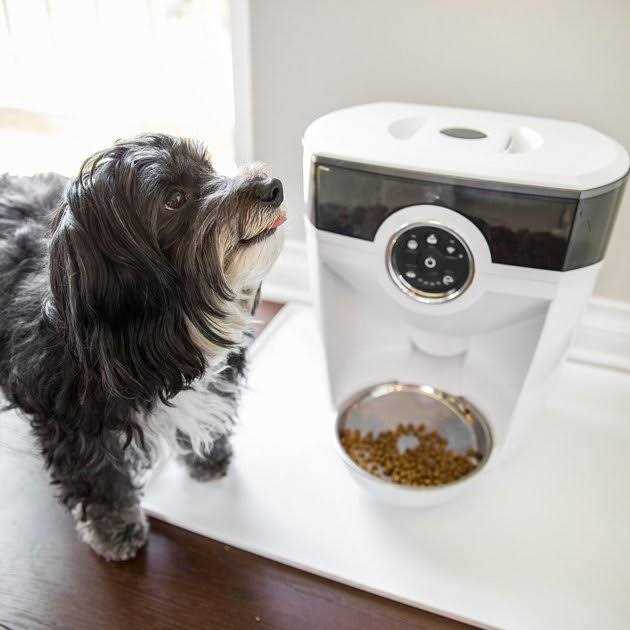 Wi-fi Cat & Dog Auto-Feeder with Hopper & Backup Battery Z984461