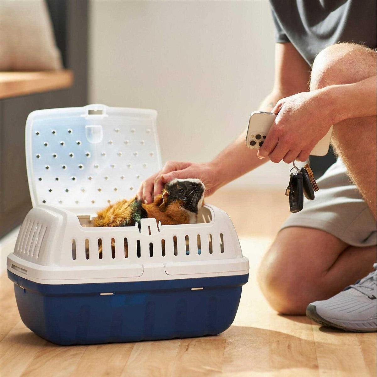 Small Pet Carrier K524