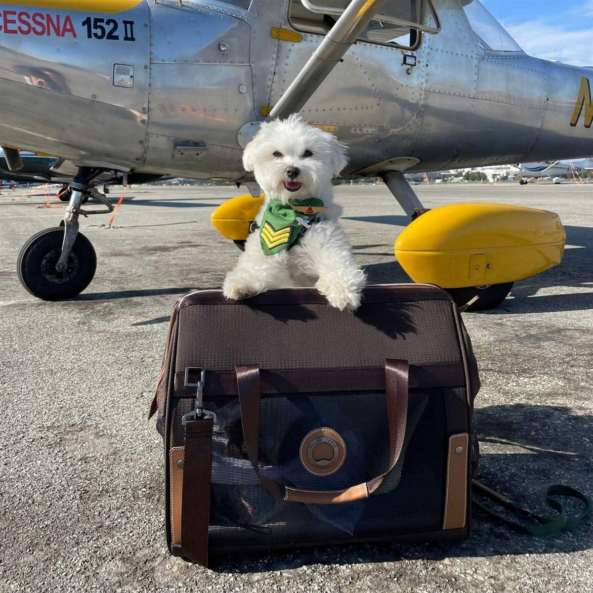 Pet Carrier J5673