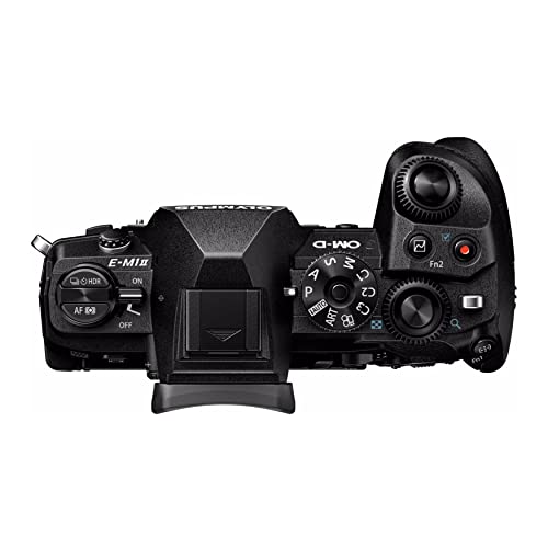 Black Camera Body Only O636699