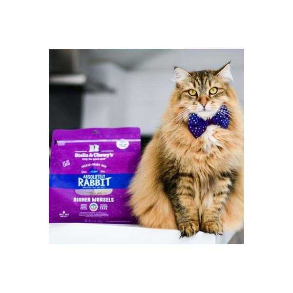 Freeze-Dried Salmon Chicken Cat Food E8500