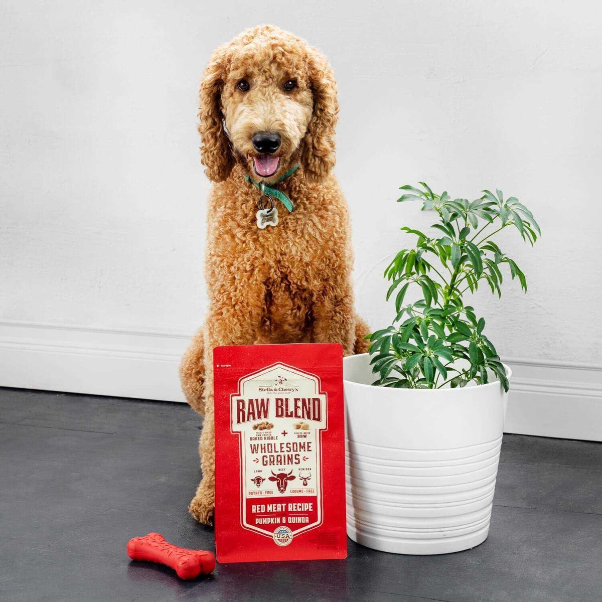 Cage Free Recipe Dog Food F58169