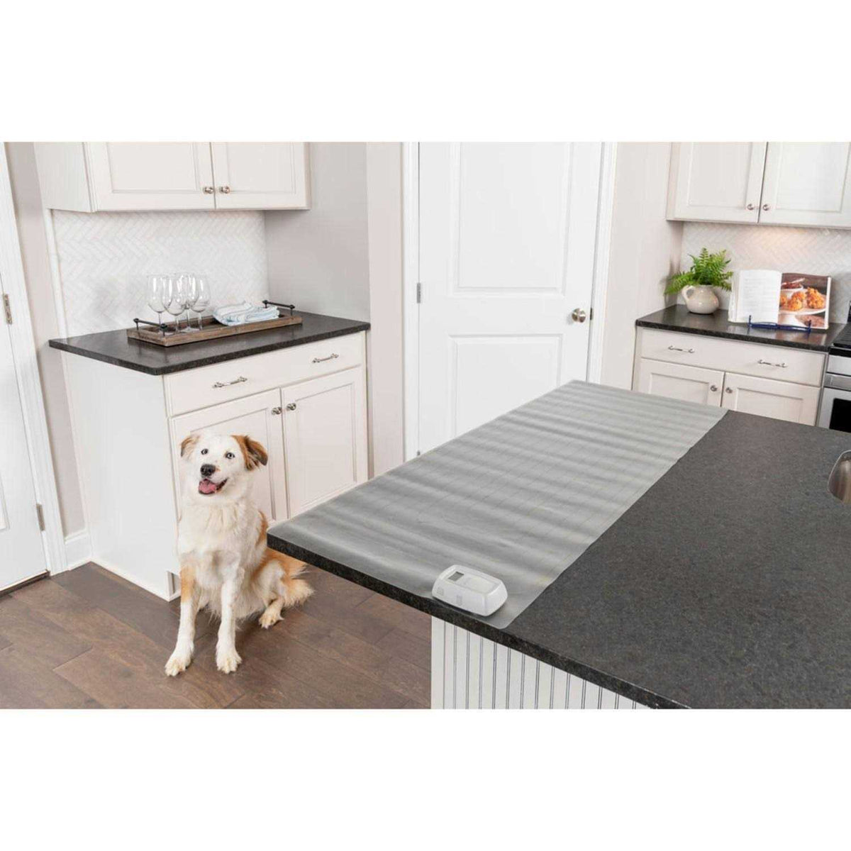 Indoor Training Mat T87450