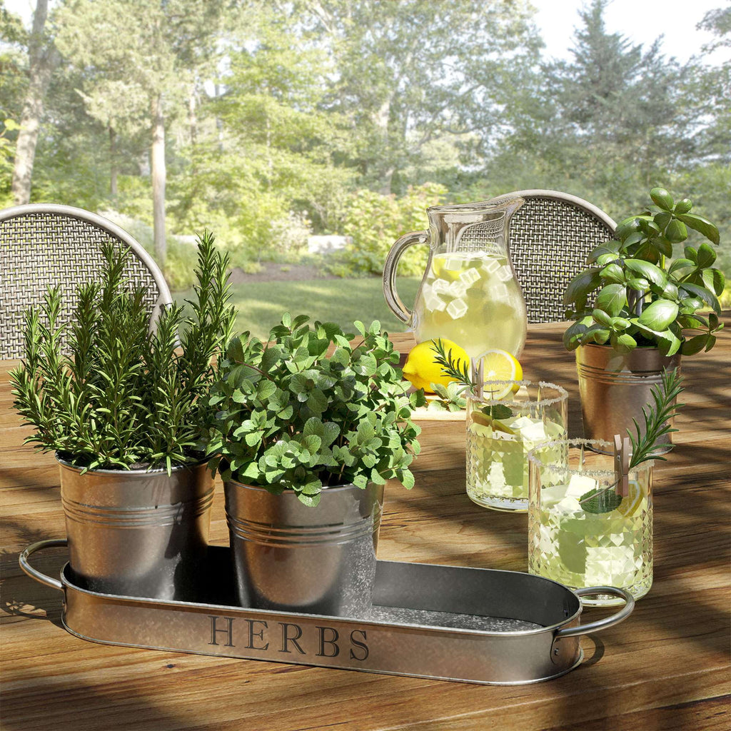 Galvanized Herb Garden Planter Set with Tray Set of 3 R72581