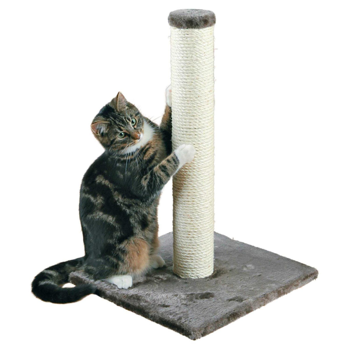 Scratching Post L212