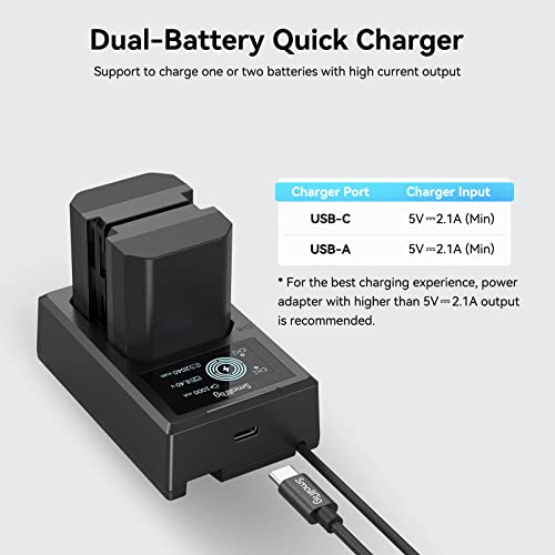 Camera Battery Charger Set for NP-FZ100 W5704