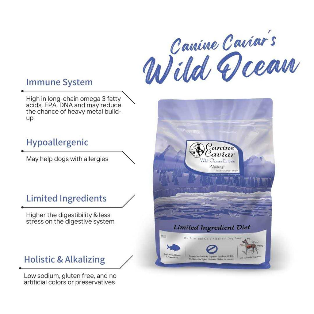 Grain-Free Dry Dog Food T192180