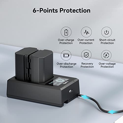 Camera Battery Charger Set for NP-FZ100 W5704